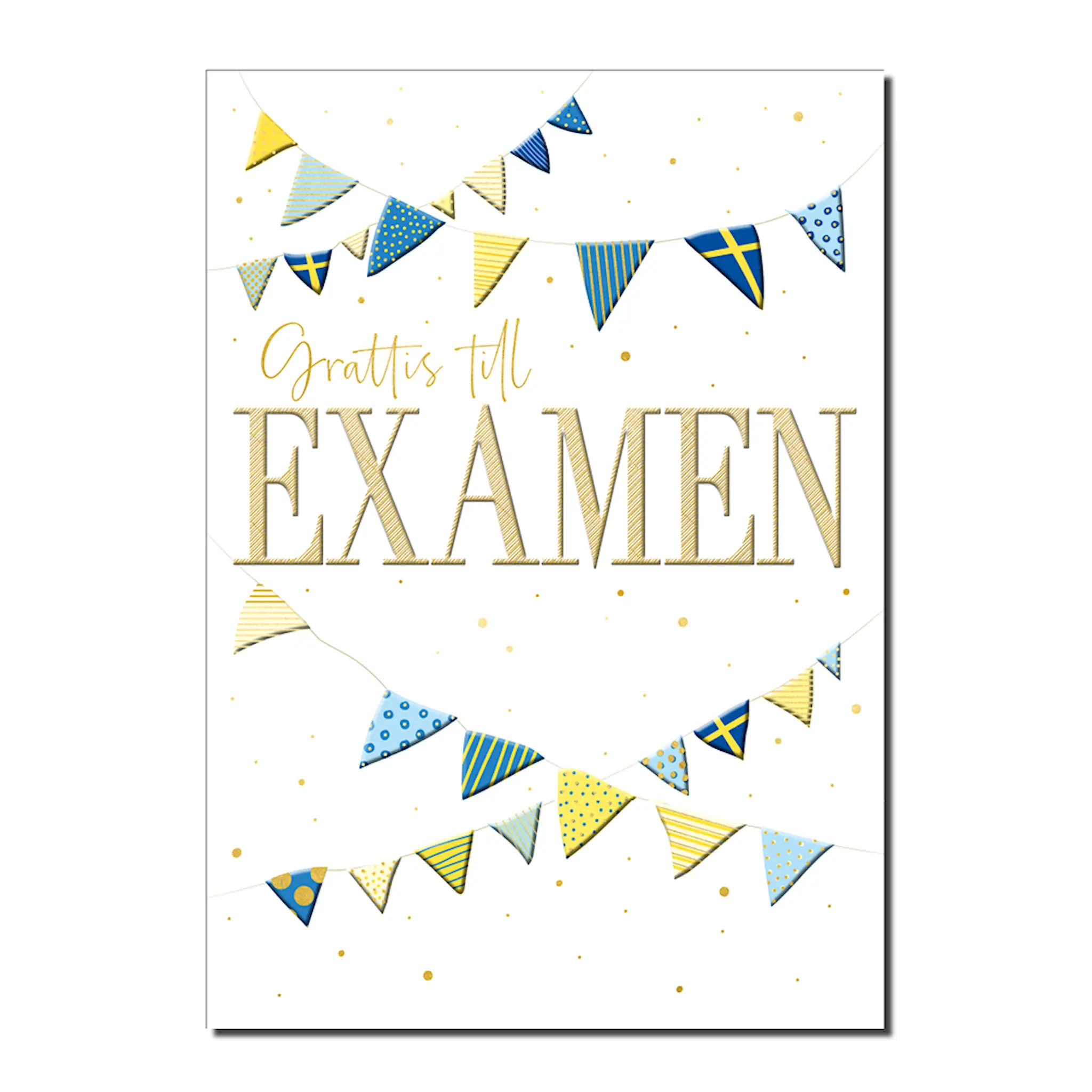 Pictura Examenkort