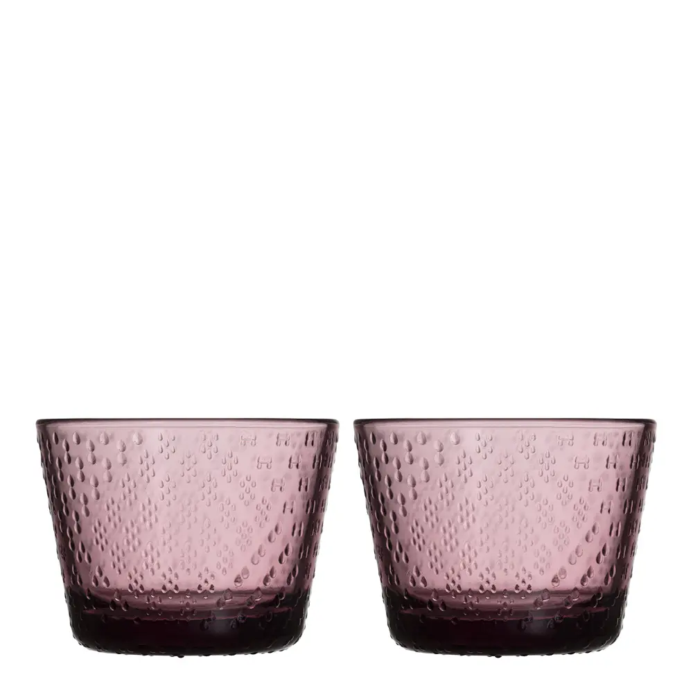 Tundra Lasi 16 cl 2 kpl Kanerva