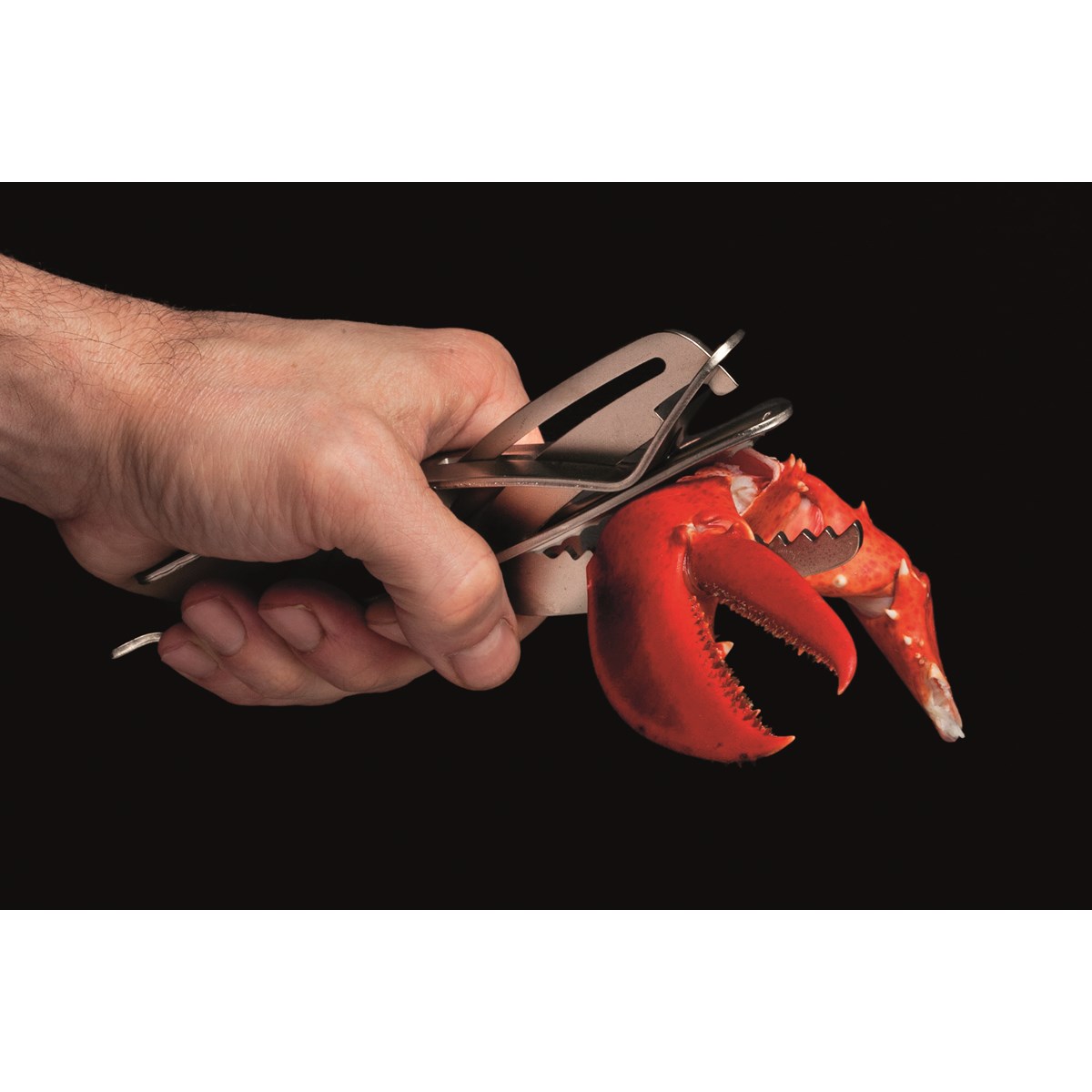 Drosselmeyer Caretta Äyriäispihdit