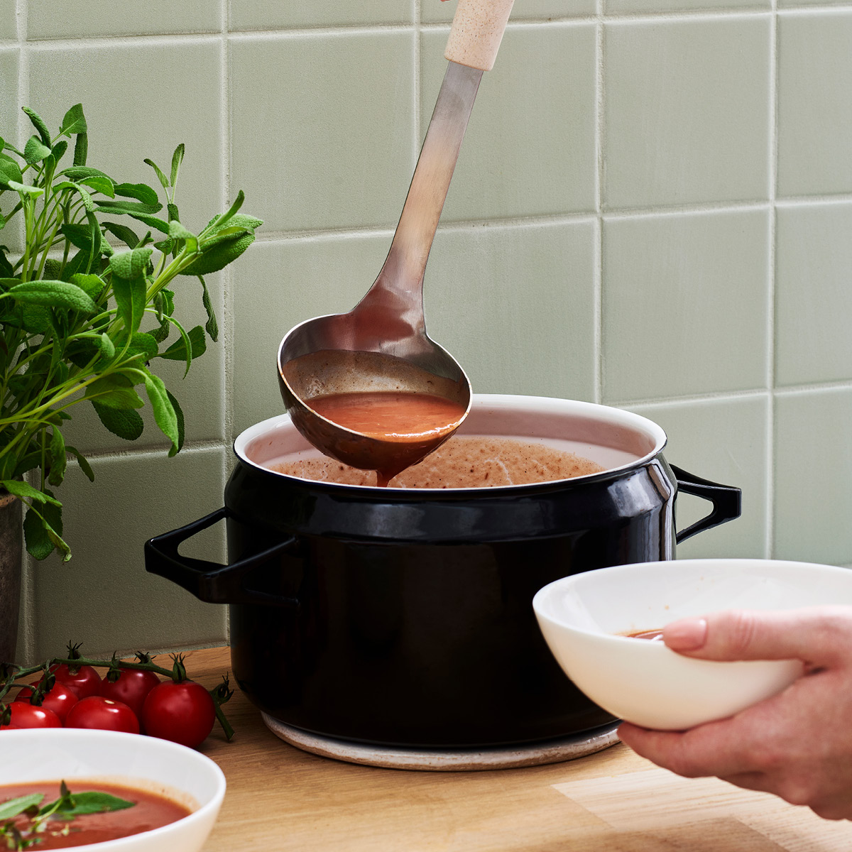 Gastromax BIO Range Kauha 31 cm