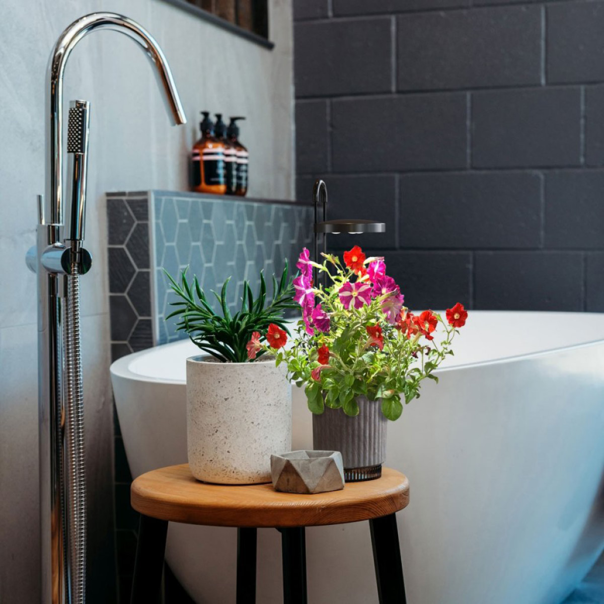 Click & Grow Click & Grow x HydroVase LED-odlingslampa grå