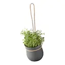 Grow-It Örtkruka Grå