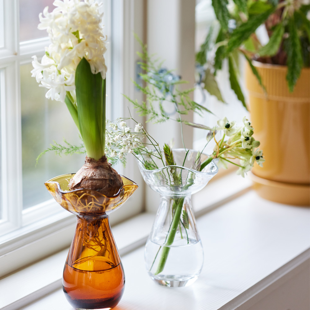 Sagaform Viva Hyacintvas mini 14 cm Klar