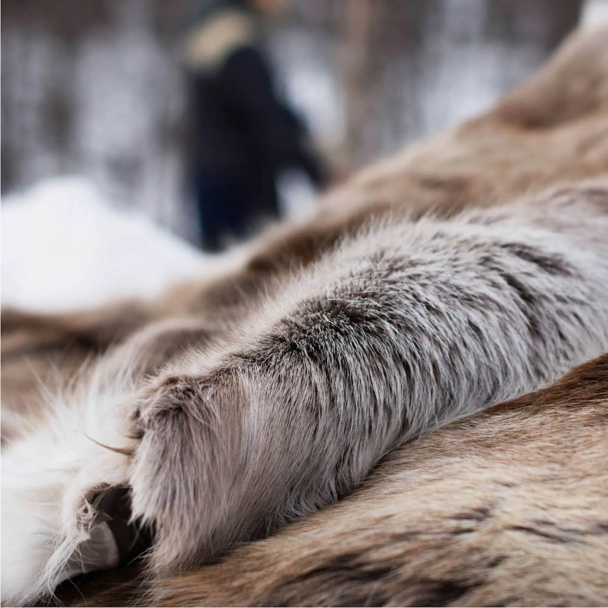 Espegard Vidda renskinn 80x115 cm norsk ren