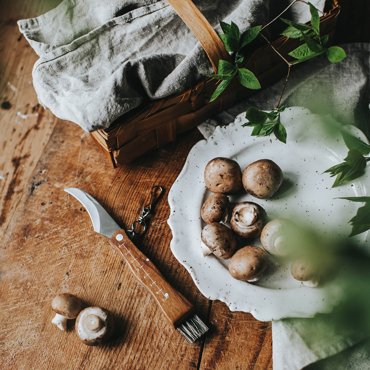 Dorre Stuti svampkniv med borste 13,2 cm trä