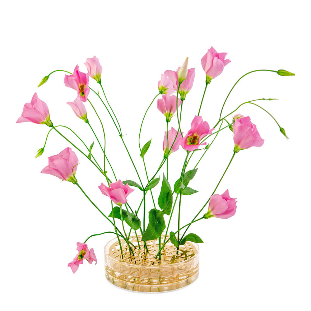 Klong Äng Pond Maljakko 12,5x3,8 cm Messinki