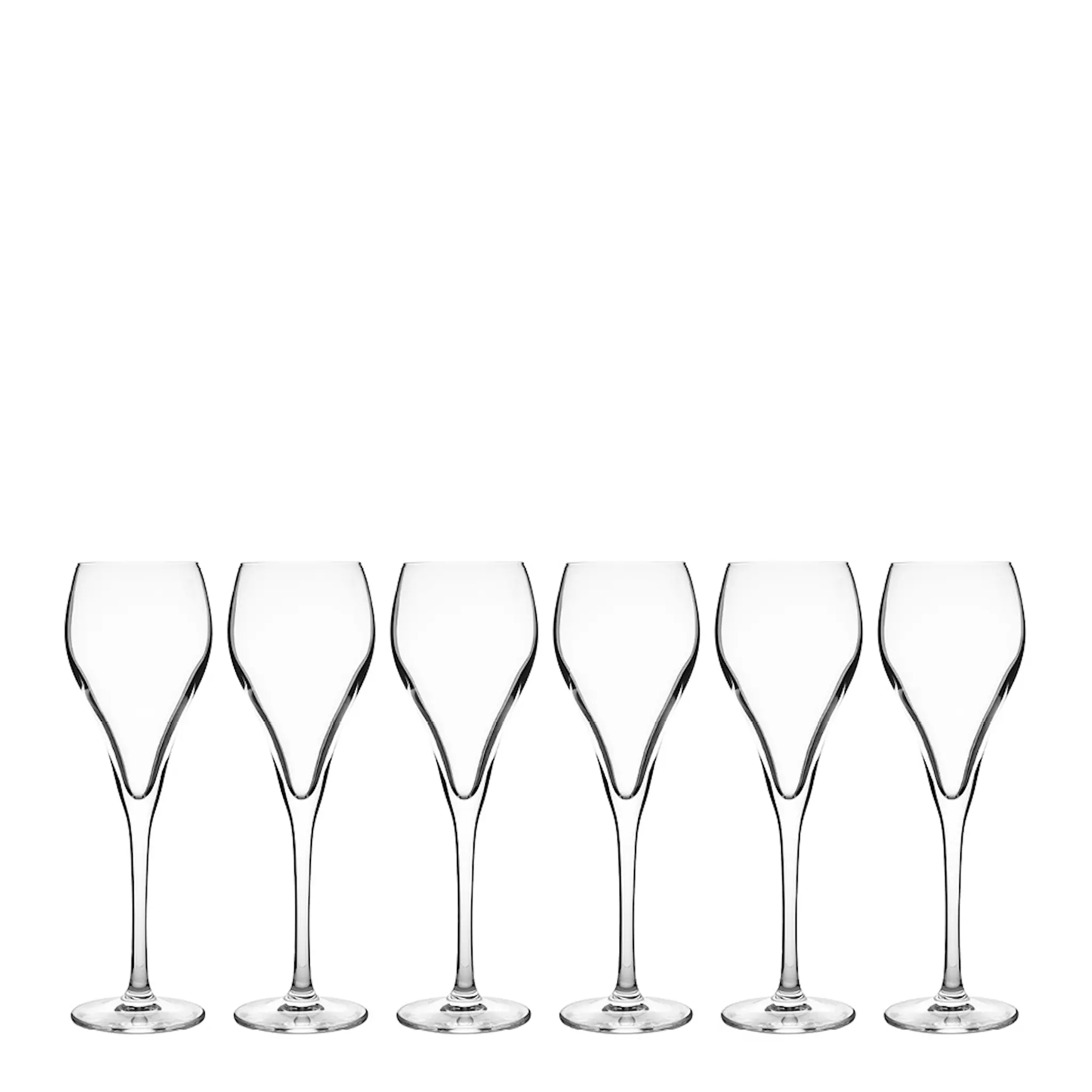 Stiernholm Bubbles Samppanjalasi 16 cl 6 kpl Kirkas