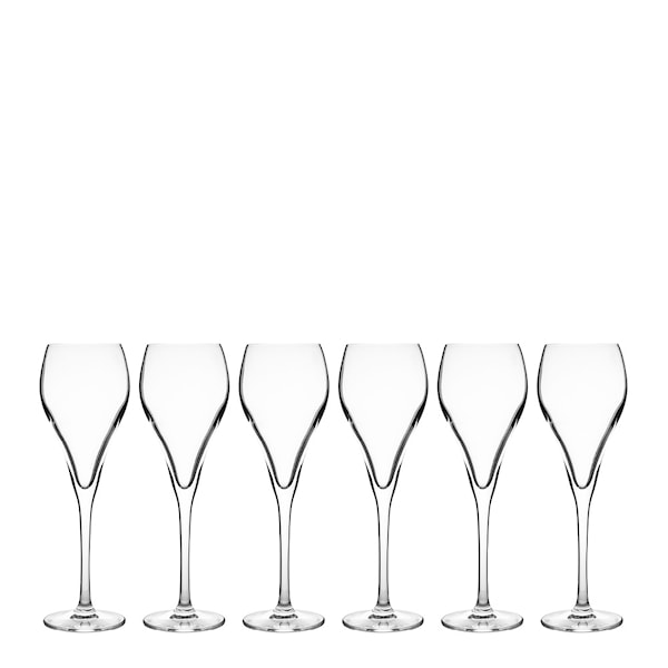 Bubbles champagneglas 16 cl 6-pack