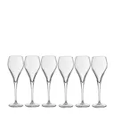 Bubbles champagneglas 16 cl 6-pack klar