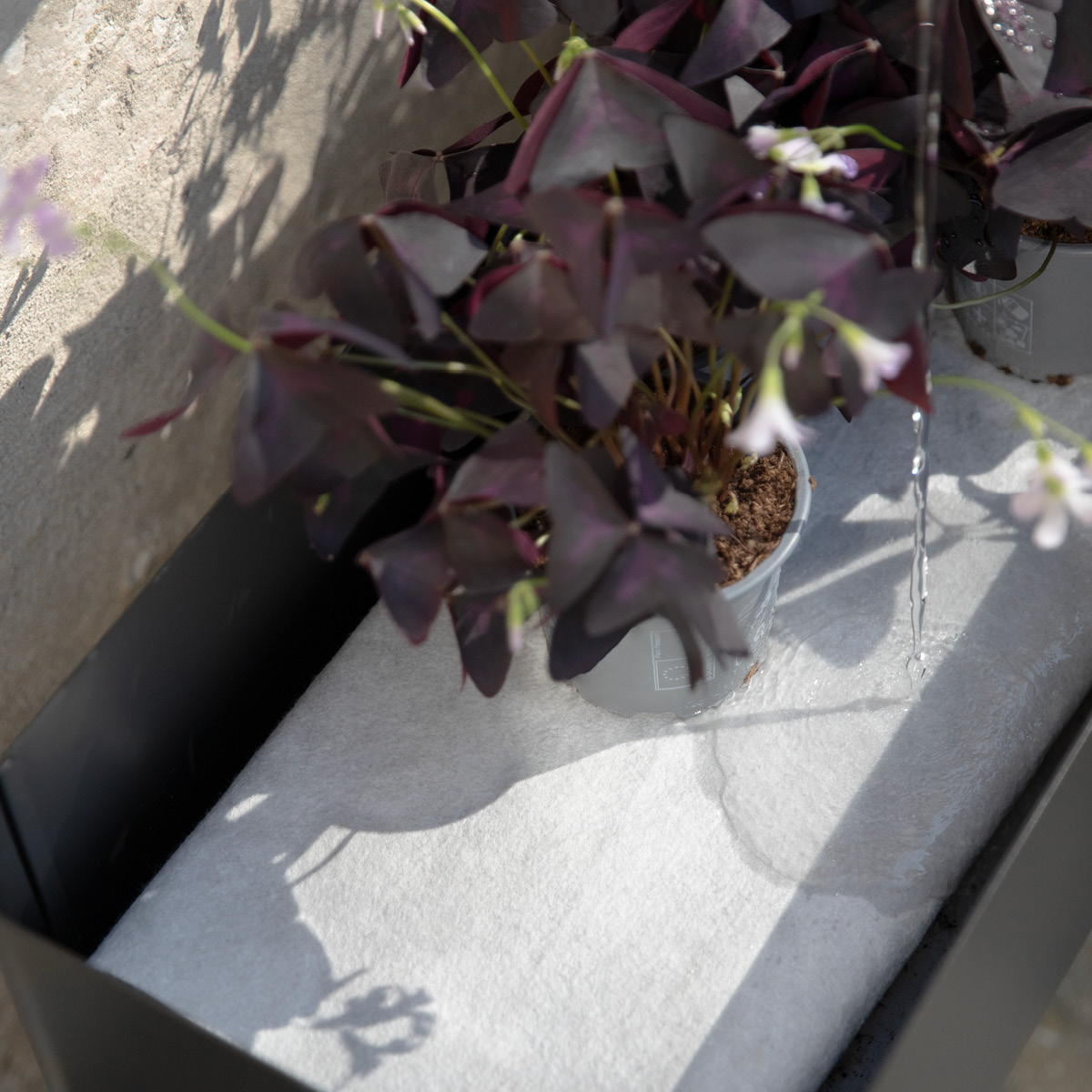 Eva Solo Simply Grow Odlingslåda 33x80x53 cm svart