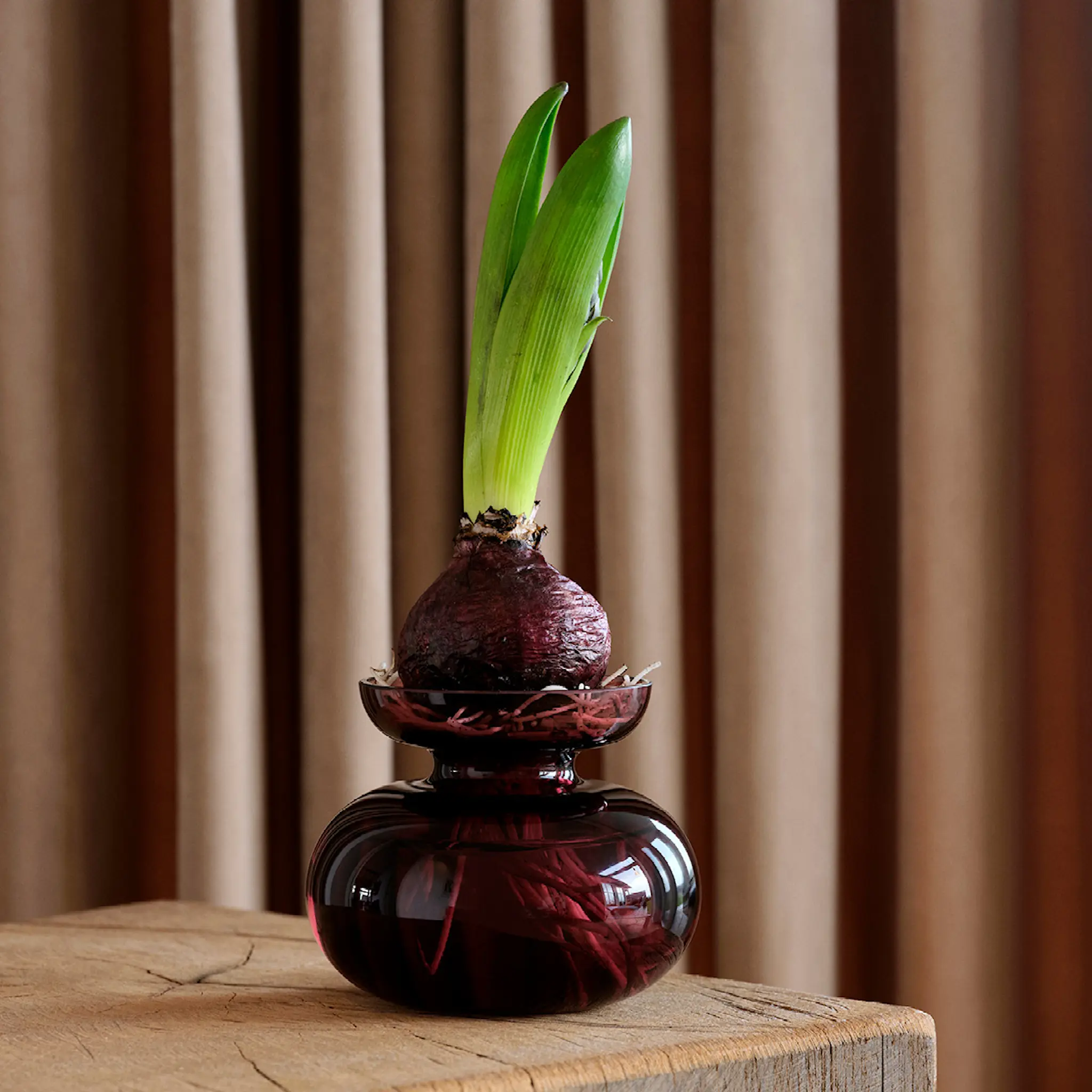 Zone Inu vas 11x9 cm plum