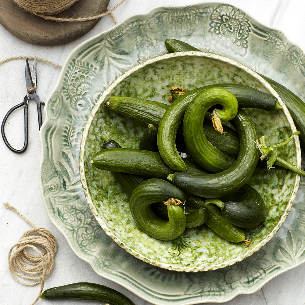 Sthål Arabesque Tallrik djup 24 cm Seaweed