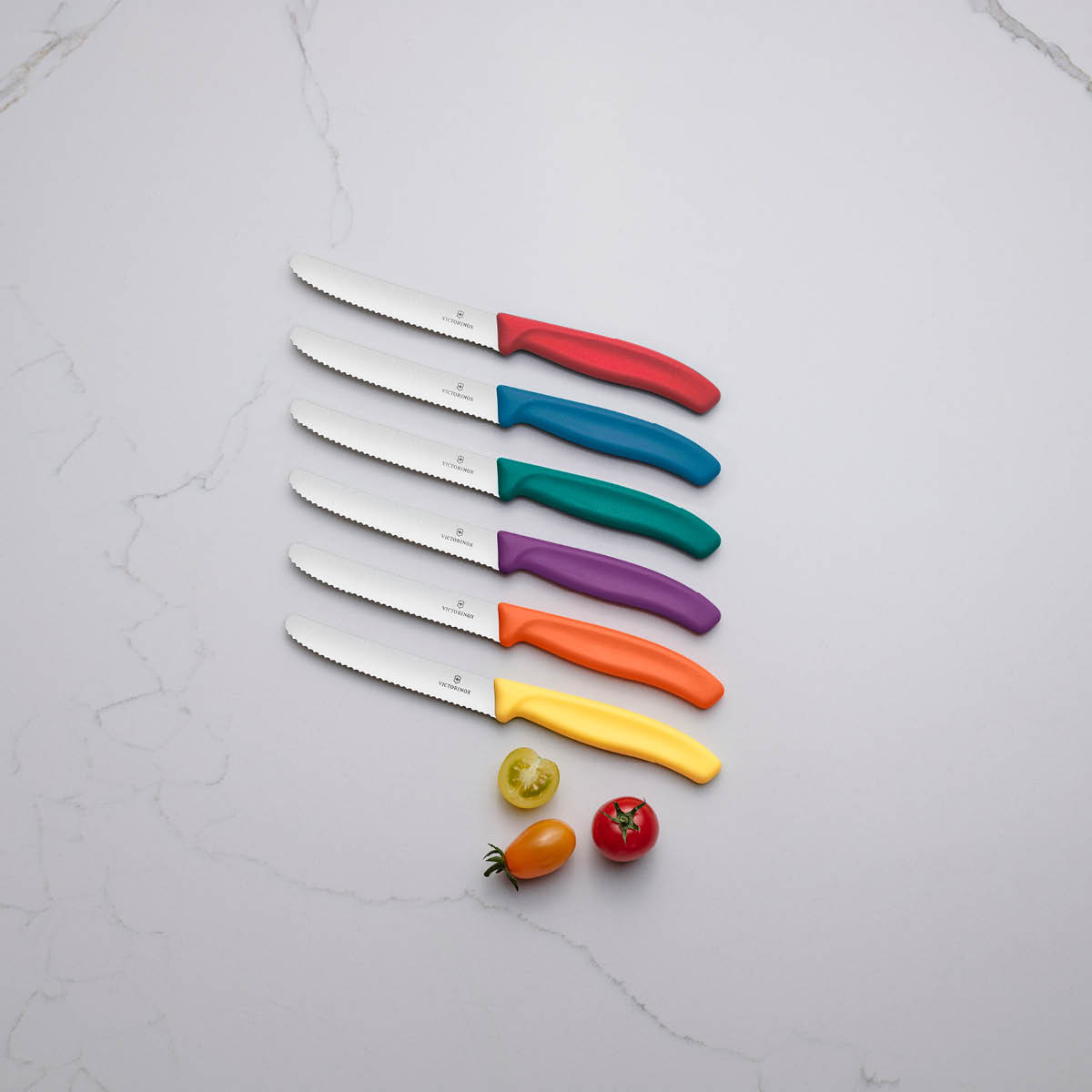 Victorinox Swiss Classic tomatkniv 11 cm havsgrön