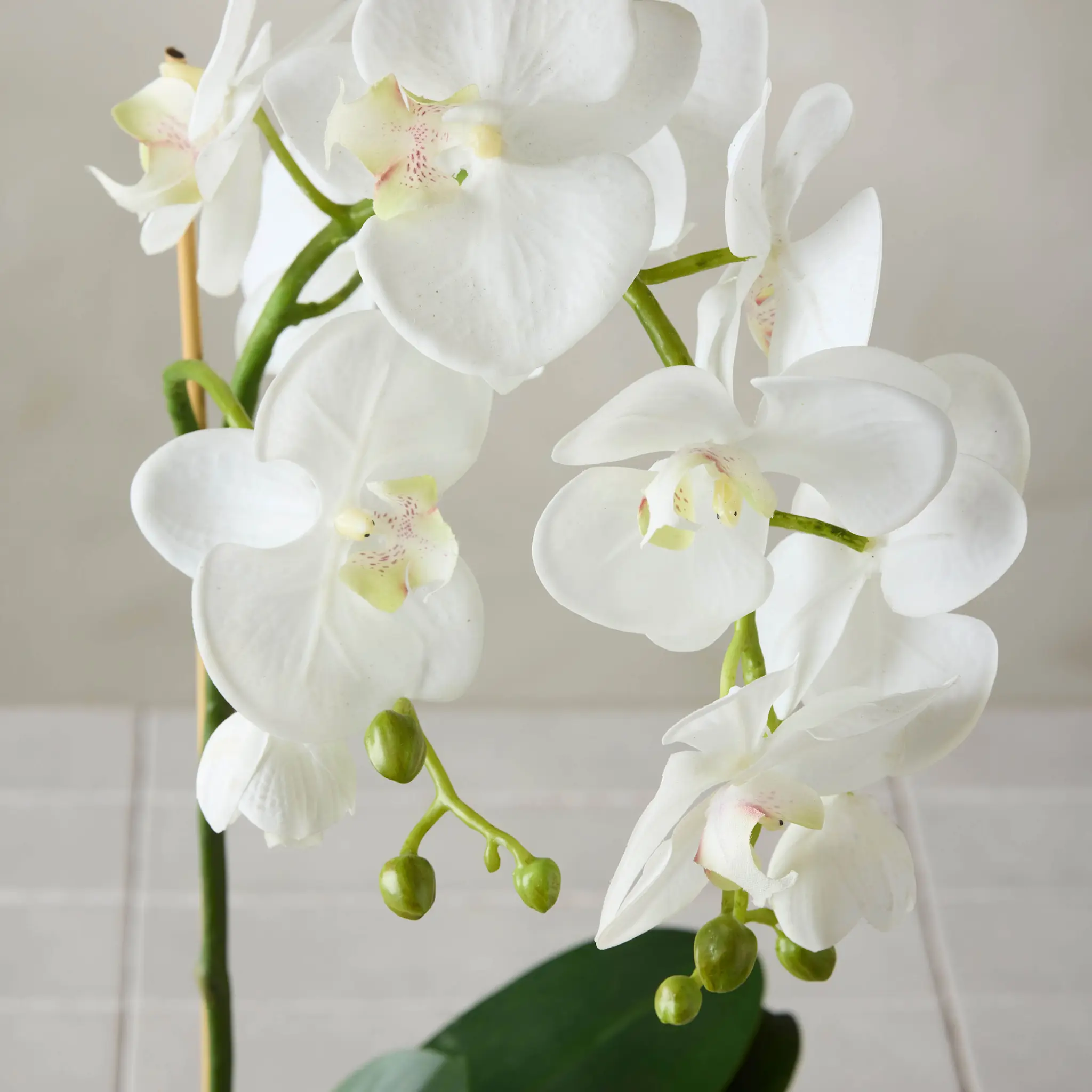 Mr Plant Phalaenopsis kunstig potteplante 60 cm hvit