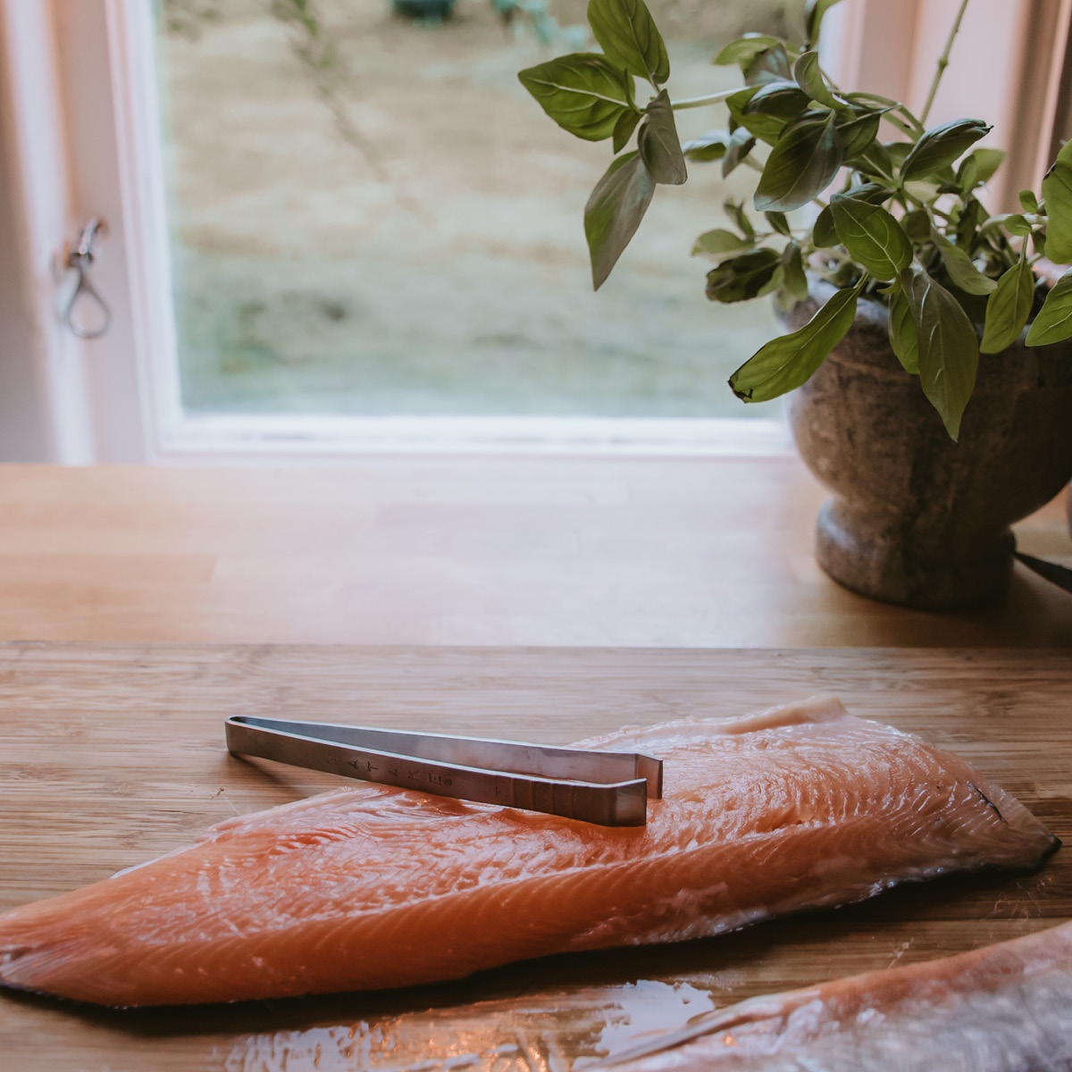 Satake Ruotopinsetit 12 cm