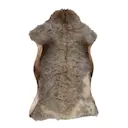 Fårskinn 72x100 cm tibetanskt bergsfår