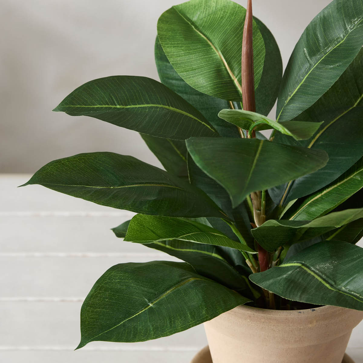 Mr Plant Fikus Robusta kunstig plante 35 cm