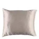 Örngott silke 50x60 cm ljusgrå