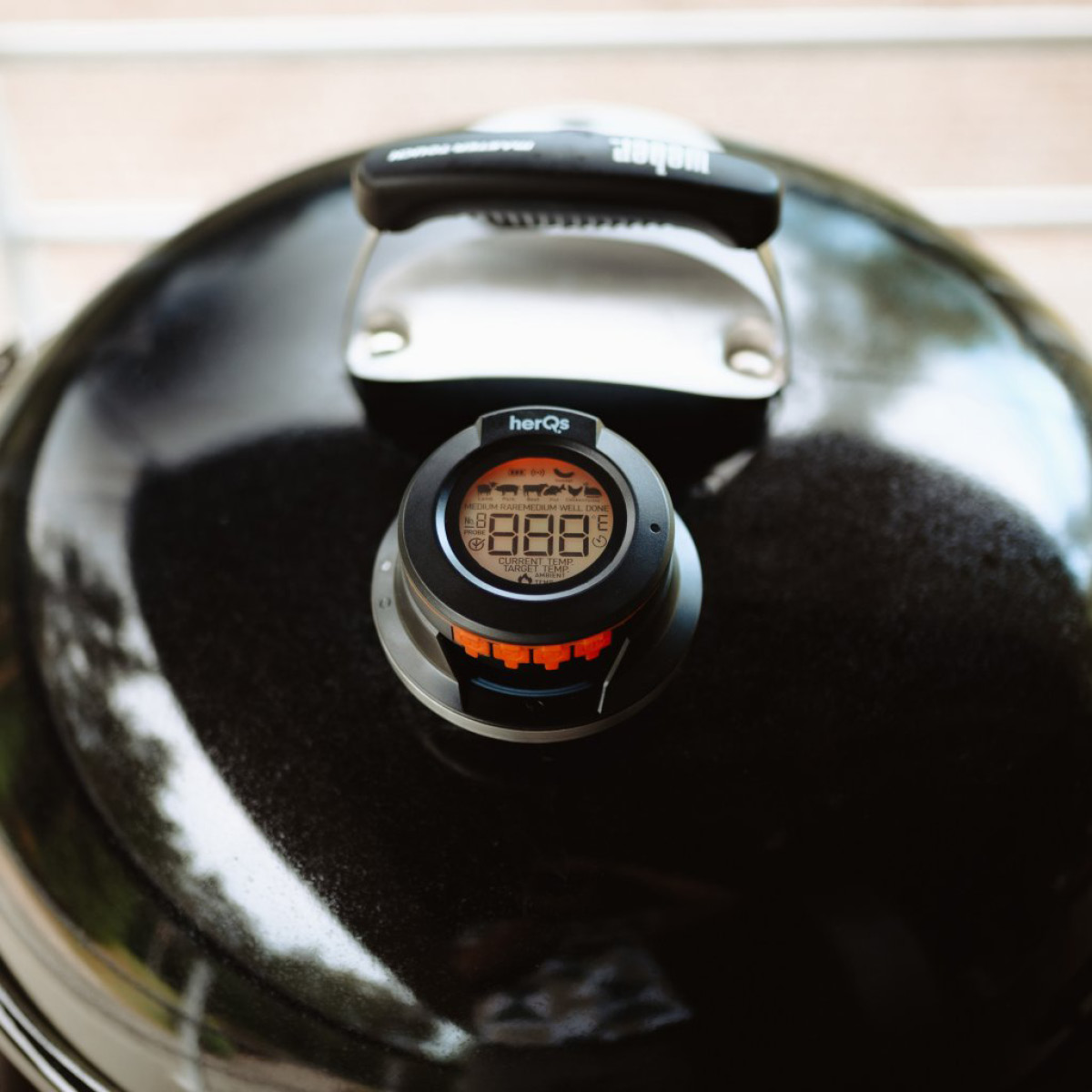 Click & Grow HerQs Dome sondtermometer svart