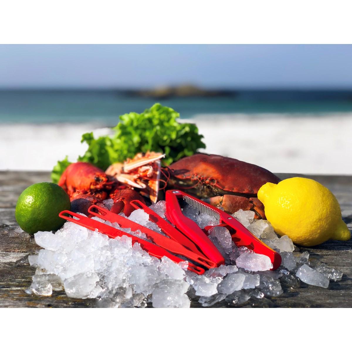 Pagurus Äyriäissetti 3 osaa Punainen