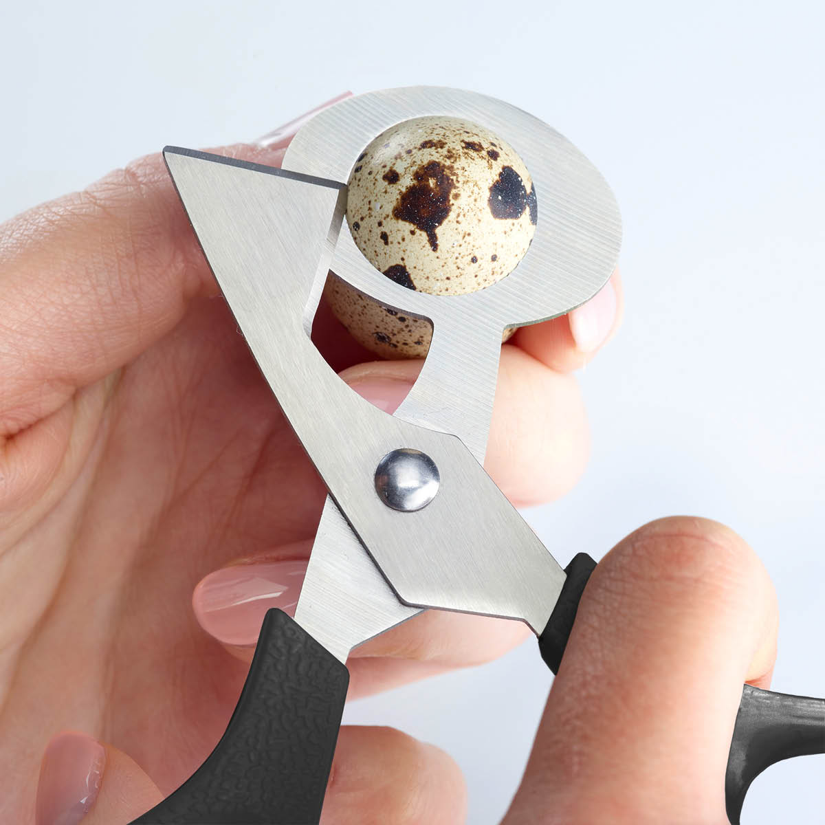 Westmark Vakteläggssax