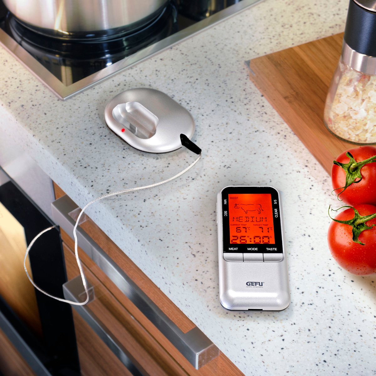Gefu Handi digital stektermometer stål