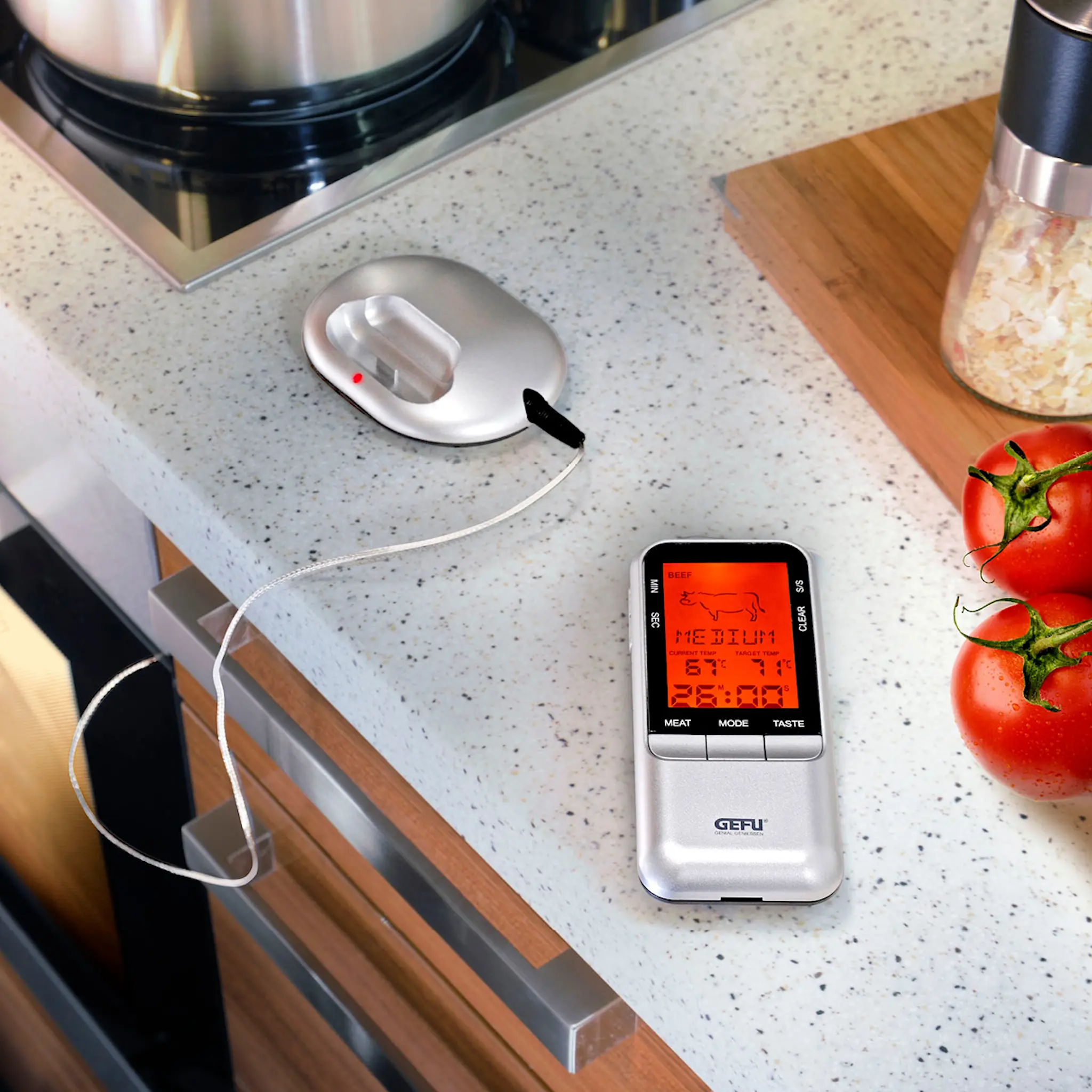 Gefu Handi digital stektermometer stål