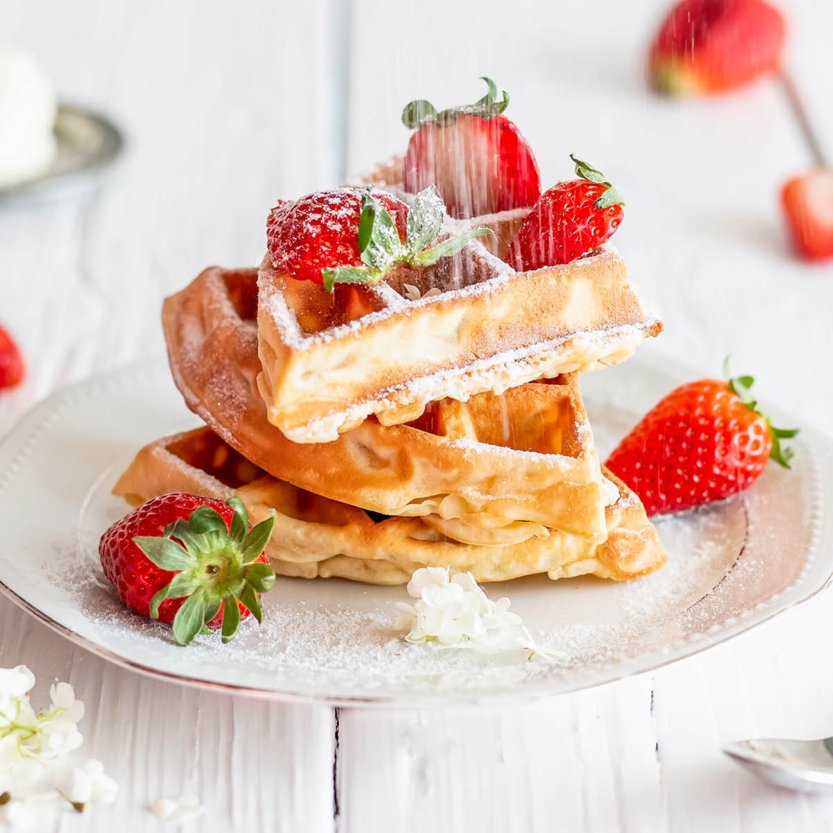 Städter Drysser med nett og lokk 7x9 cm