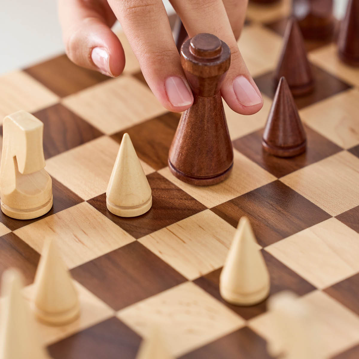 Printworks The Minimalist Shakki Puu