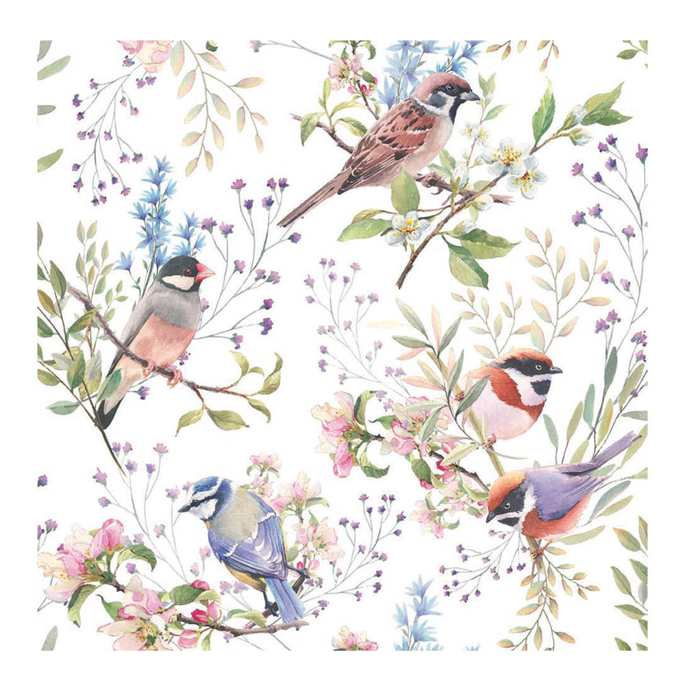 Ambiente - Servetti 33x33 cm 20 kpl Busy Birds
