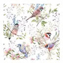 Servett 33x33 cm 20-pack Busy Birds