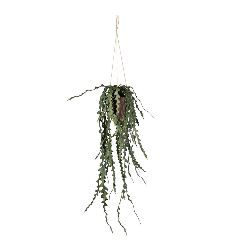 Mr Plant Elghornbregne kunstig plante 60 cm
