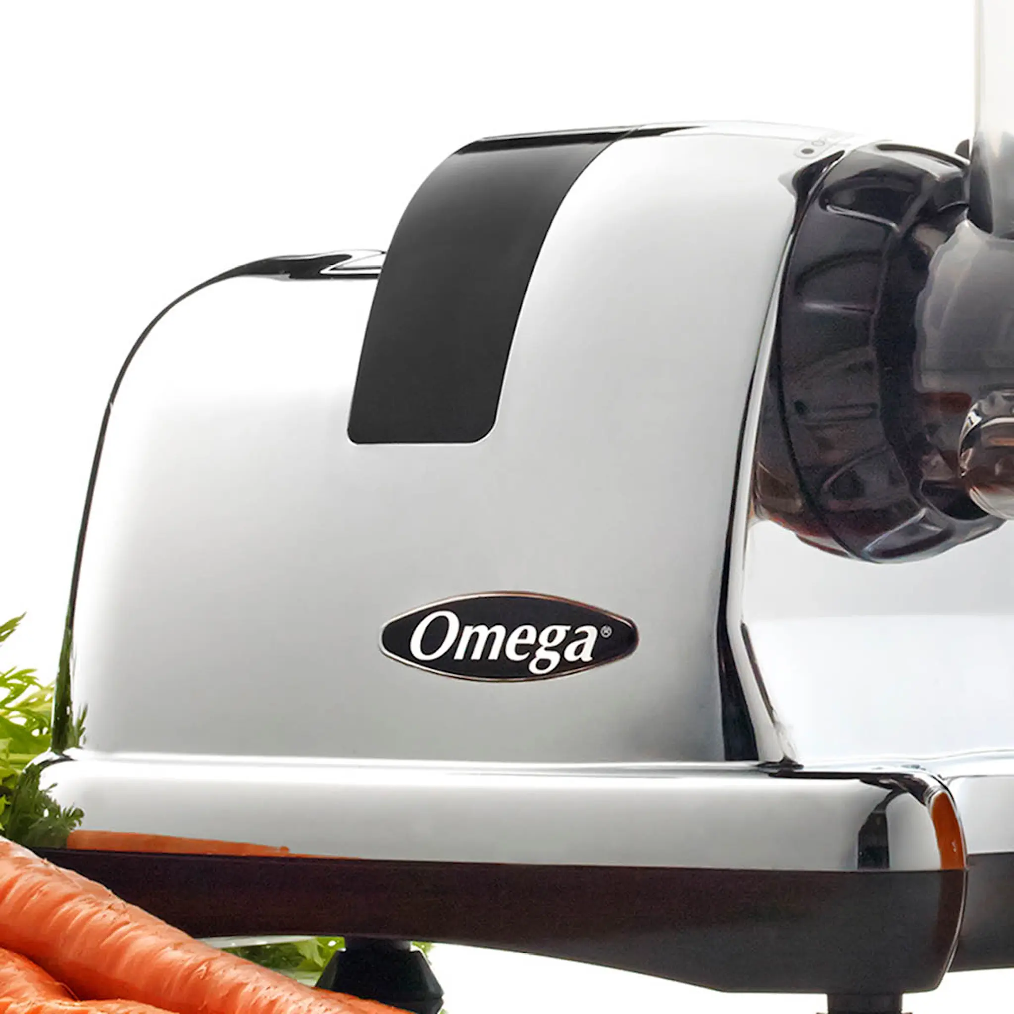 Omega Nutrition System J8228c Slowjuicer Krom/Svart
