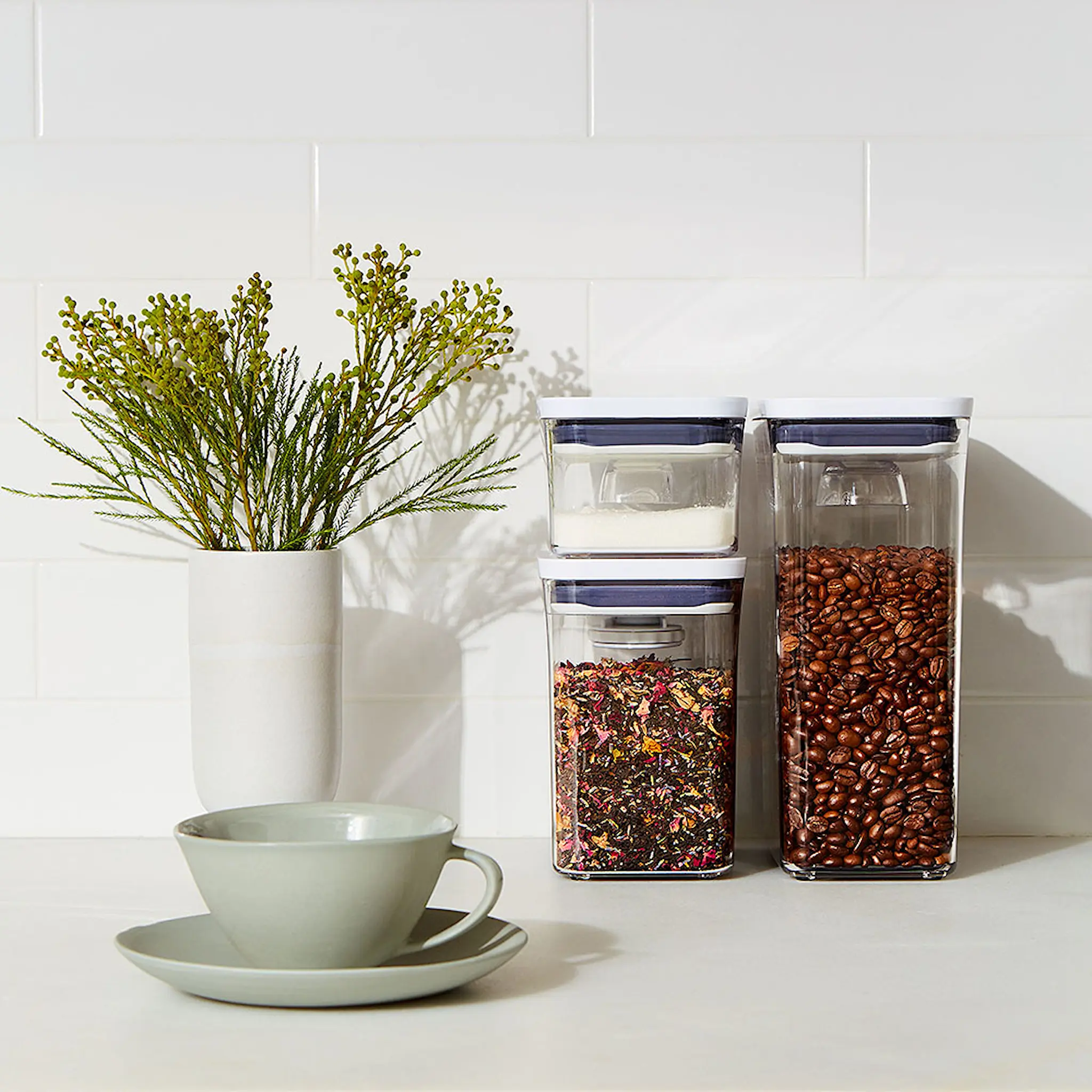 Oxo Pop Behållare 0,5 L