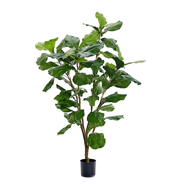 Fiolfikus konstväxt 120 cm