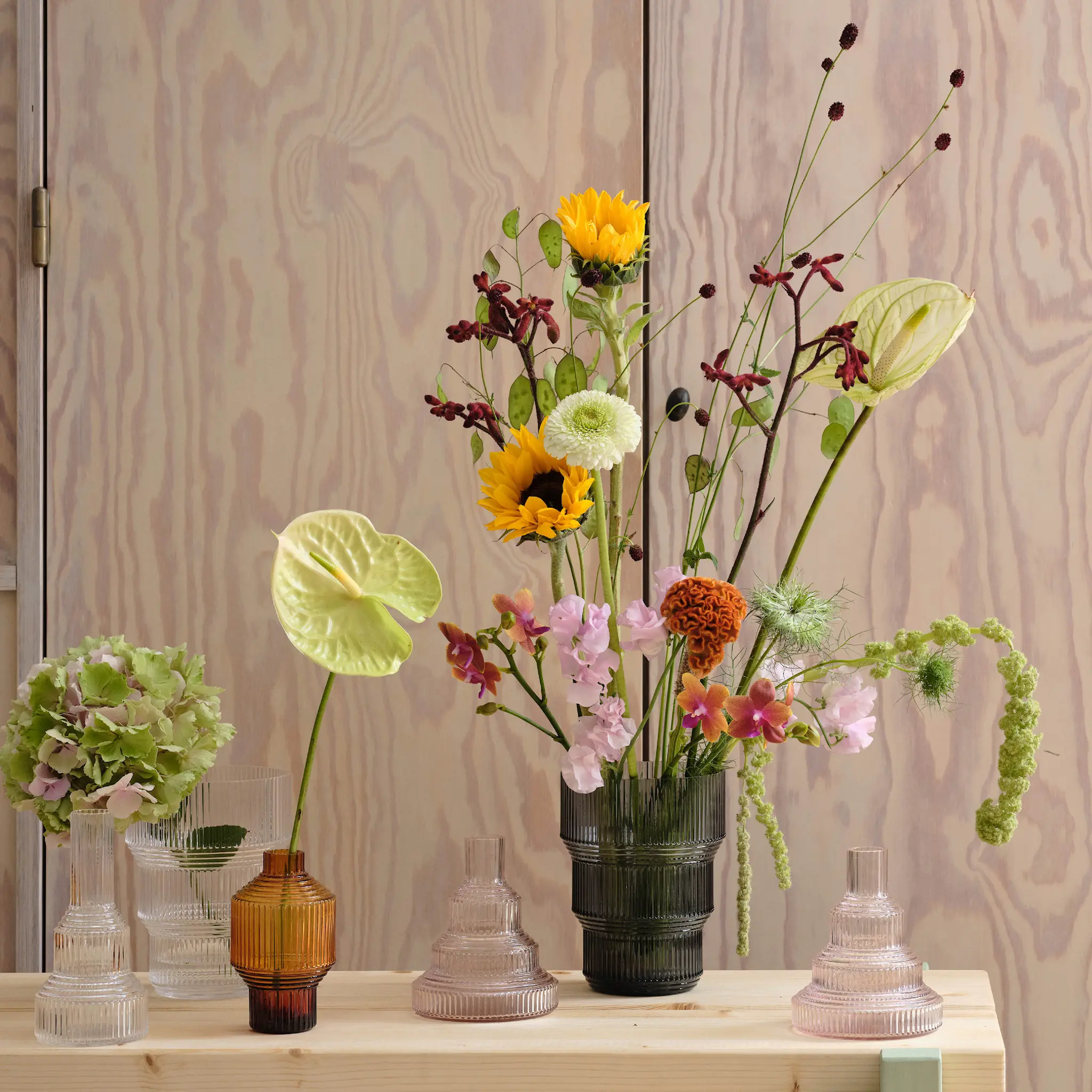 Kosta Boda Pavilion Tulppaanimaljakko 17,3 cm Kirkas