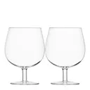 Craft Beer Bar ölglas 55 cl 2-pack