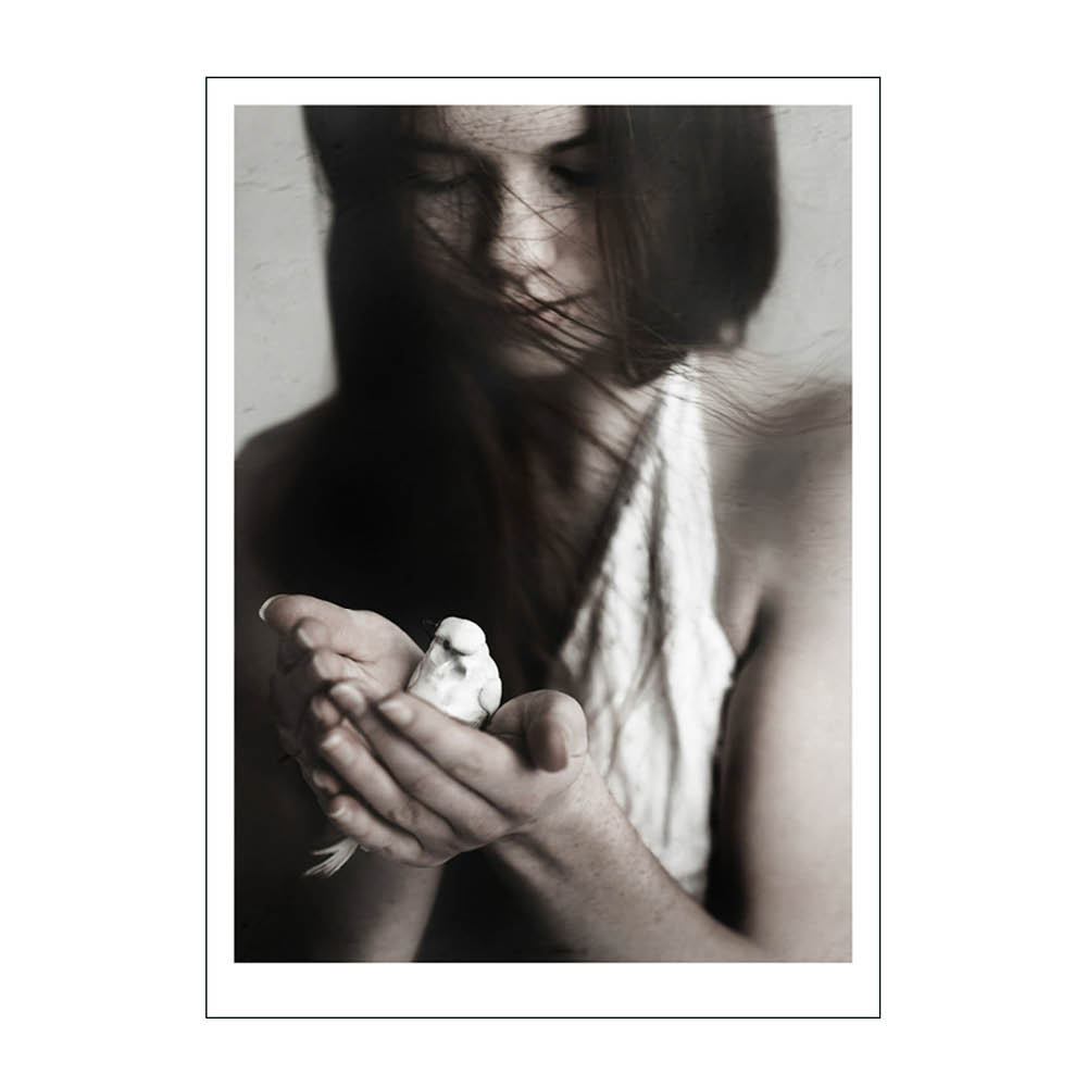 Poster & Frame - Ingrey Studio juliste 50x70 cm Girl & bird