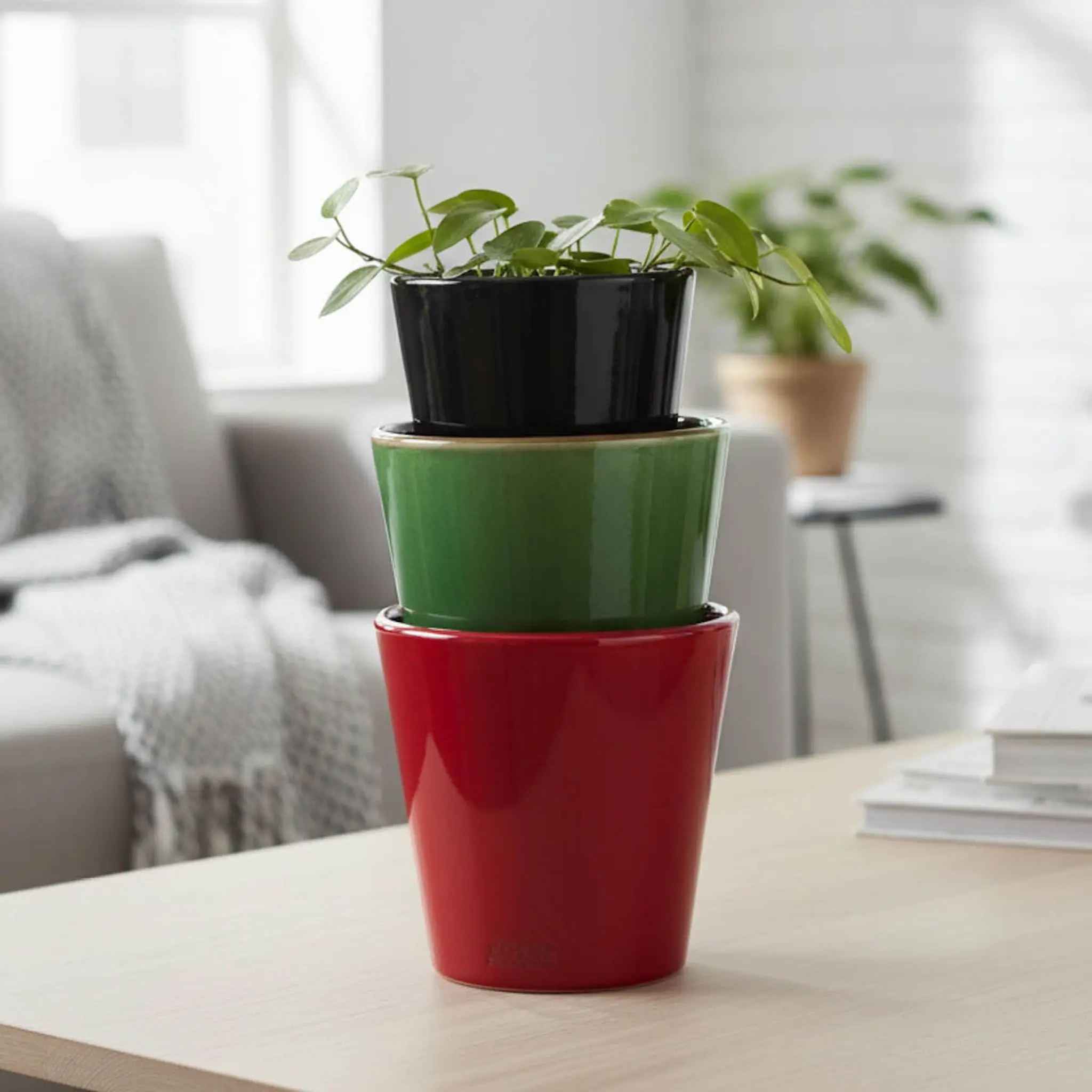 Rotor Design Plant Kukkaruukku 12x12 cm Vihreä