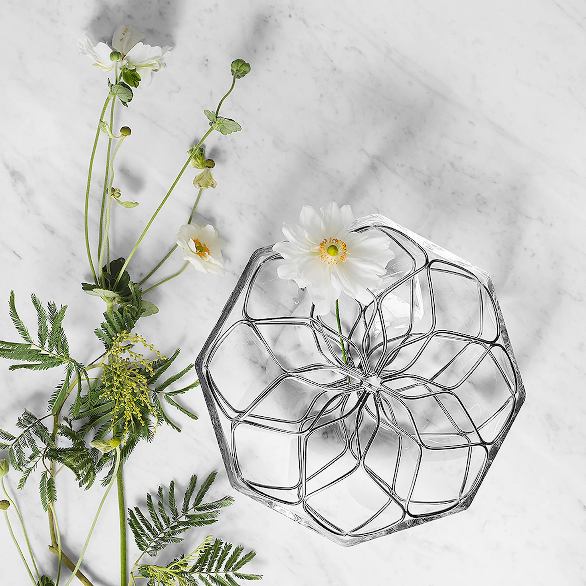 Kosta Boda Bloom Vas Klar 21 cm