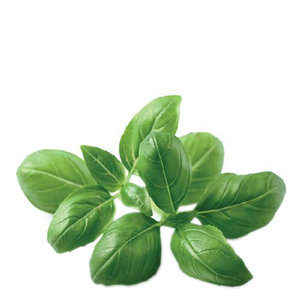 Click & Grow Smart Garden Täyttöpakkaus 3 kpl Basilika