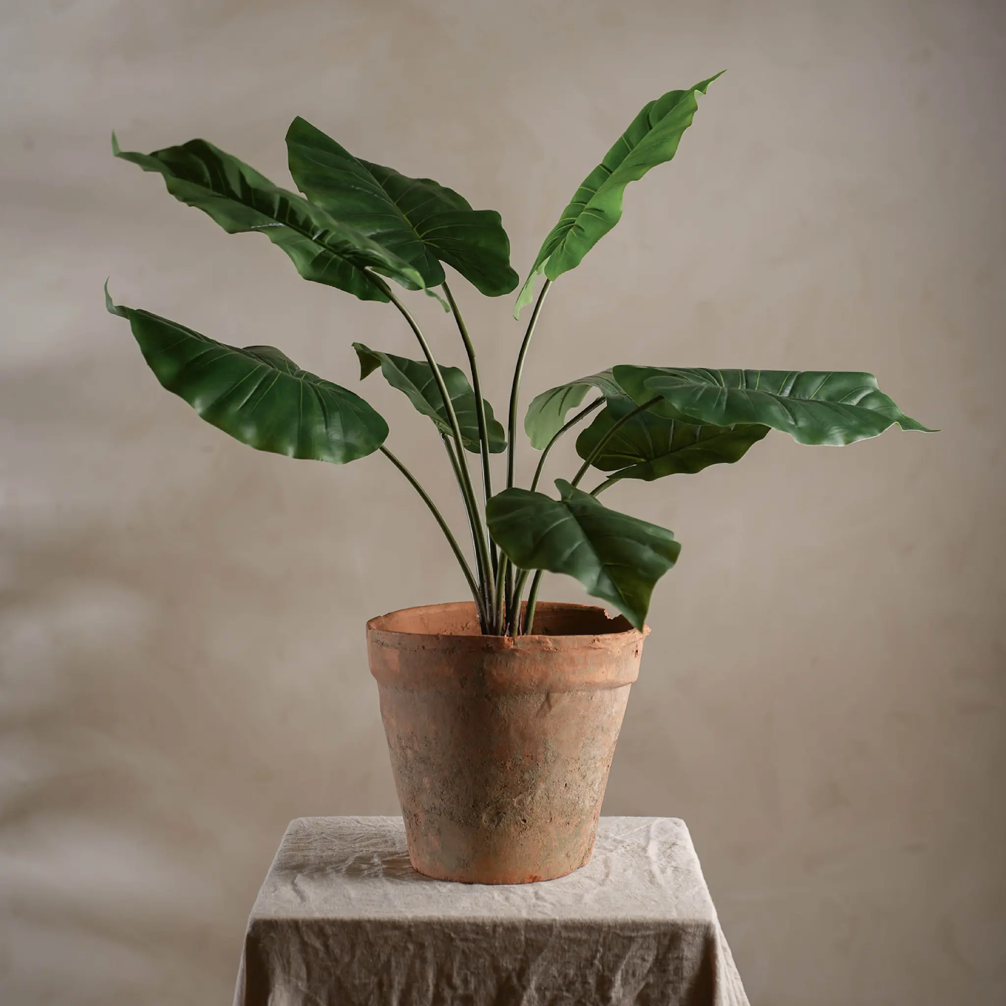 Mr Plant Alocasia kunstig potteplante 60 cm grønn