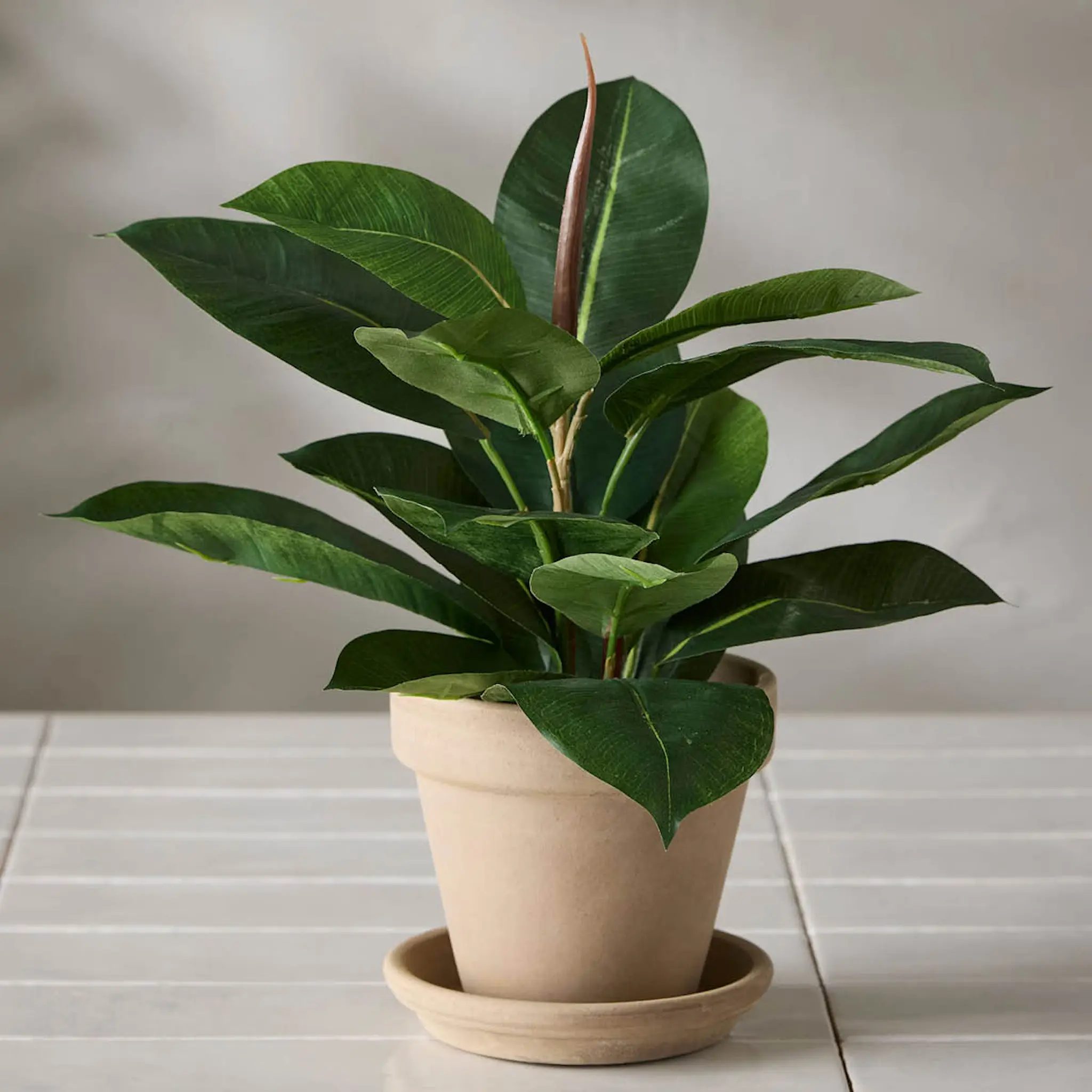 Mr Plant Fikus Robusta kunstig plante 35 cm