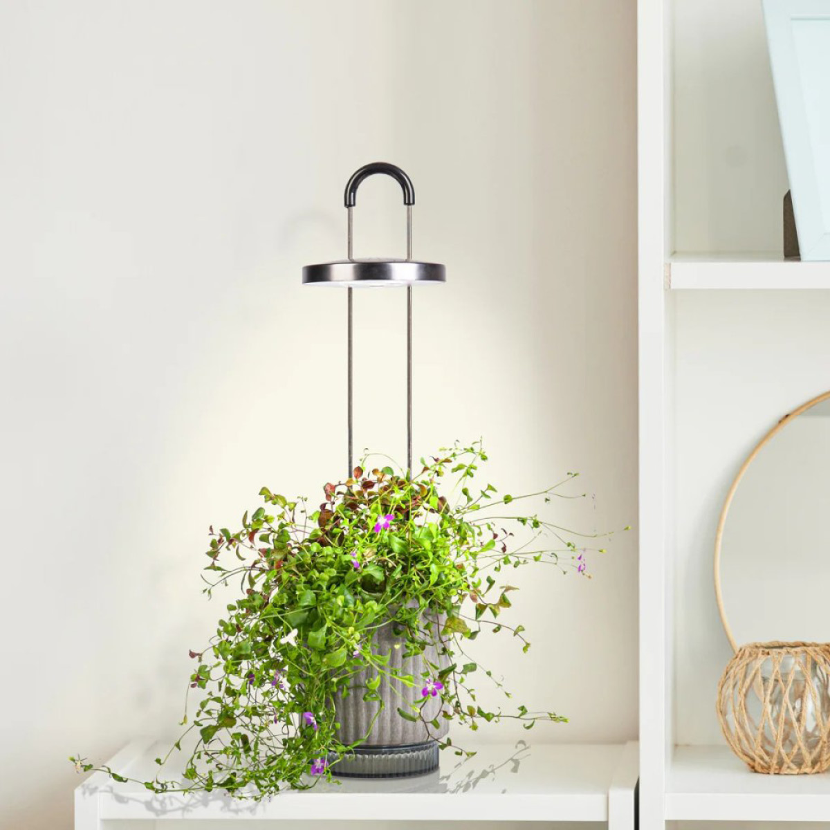 Click & Grow Click & Grow x HydroVase LED-odlingslampa grå