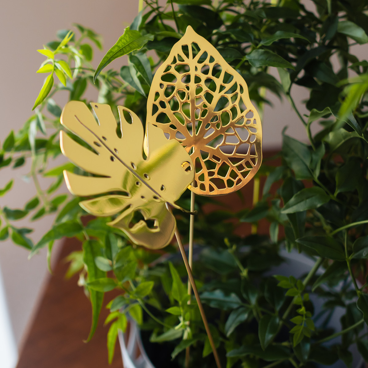 Klong Brass Leaves Water 2 stk