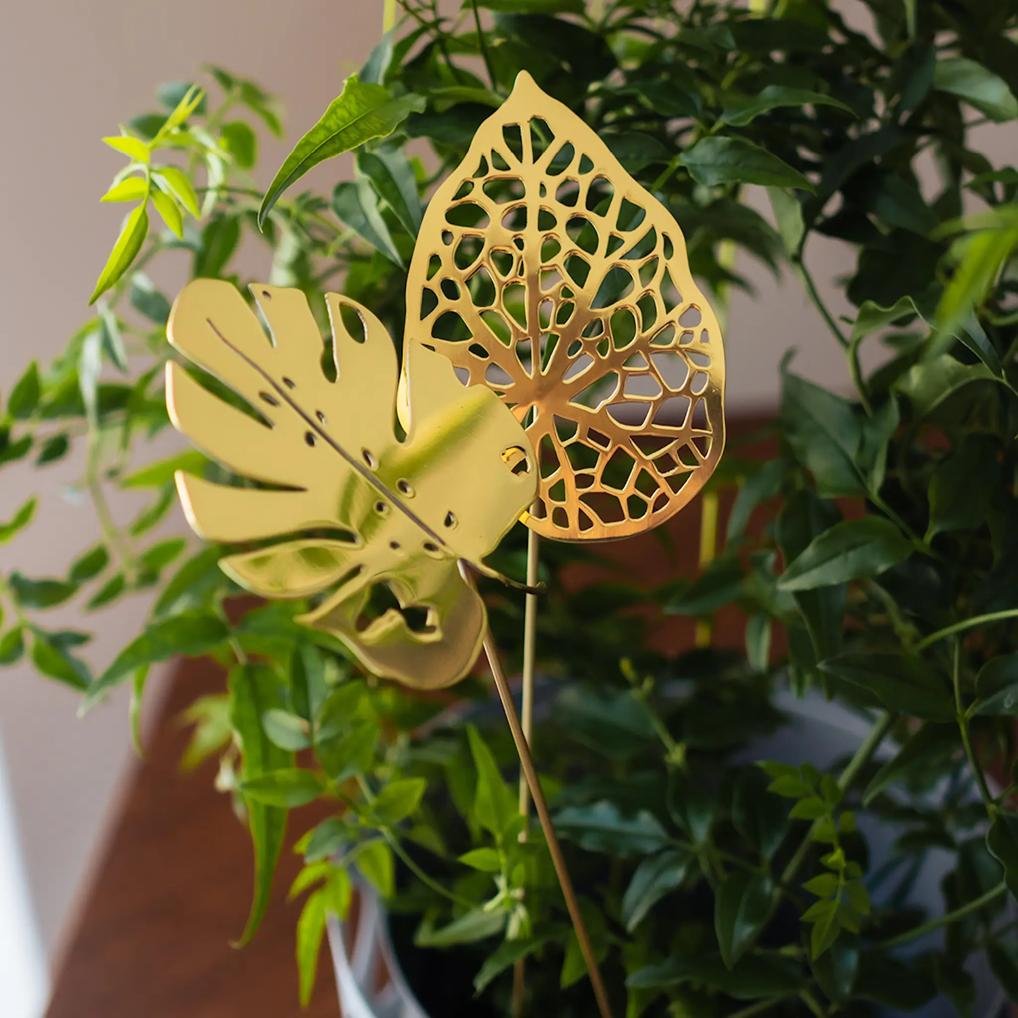 Klong Brass Leaves Water 2-pack mässing
