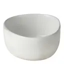 Arctic White