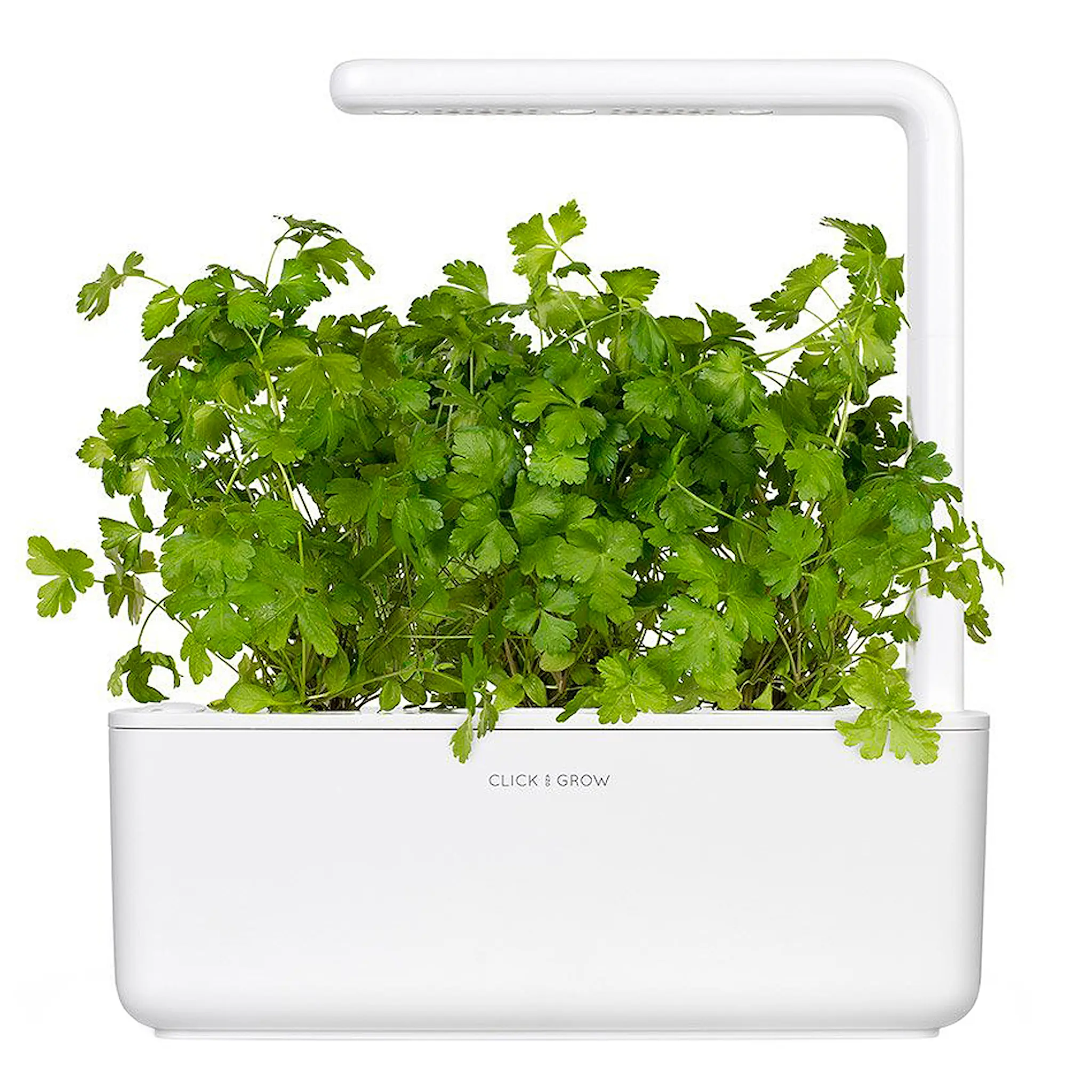 Click & Grow Smart Garden Refill 3-pack kruspersilja