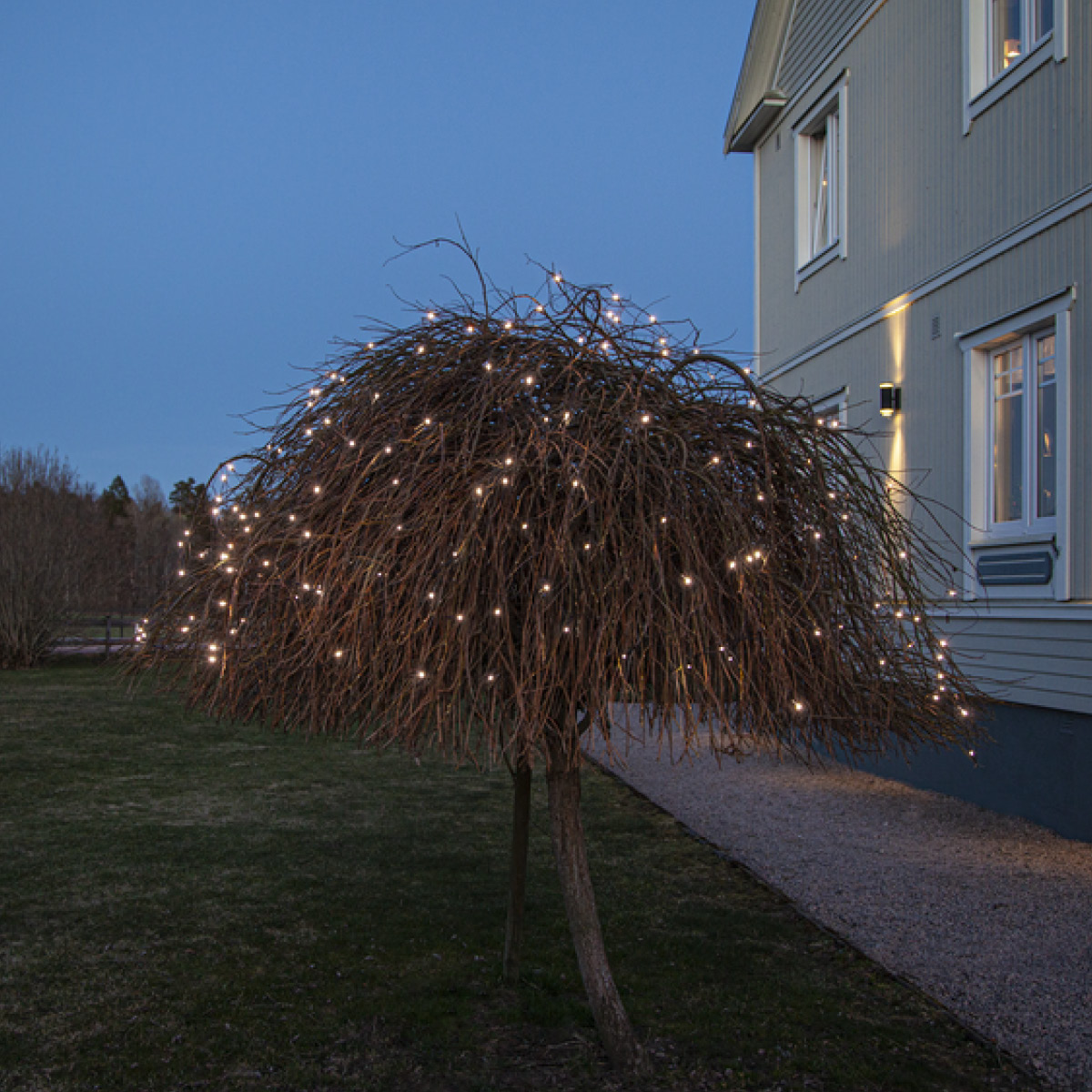 Star Trading Crispy Ice White Valoverkko 200 lamppua