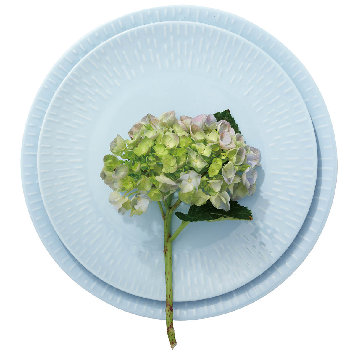 Aida - Life in colour Confetti frokosttallerken 24 cm aqua